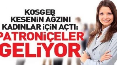 Ev Hanımlarına Kosgeb Hibe Başvurusu