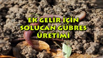 Solucan Gübresi İşi Ne Kadar Kazandırır?