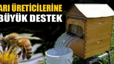 Arılı Kovan Desteği Nasıl Alınır?