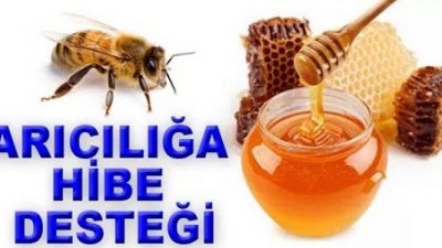 Devlet Destekli Arıcılık Hibeleri