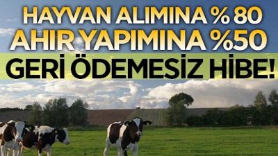 2021-2022 Yılında Verilecek Hayvancılık Destekleri