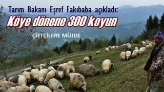 300 Koyun Hibesi Nasıl Alınır