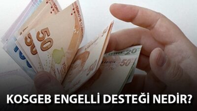 KOSGEB Engelli Desteği 2021-2022