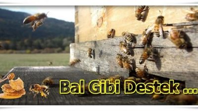 Arıcılık Hibe Destekleri