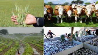 2019 Yılı Hibe Destekleri