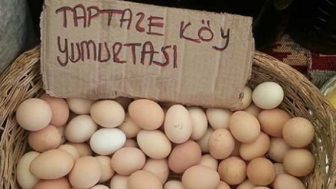 Toptan Organik Köy Yumurtası Alan Firmalar