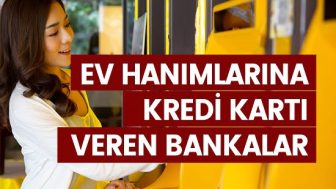 Bankalar Ev Hanımına Kredi Kartı Verir mi